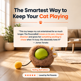 PounceBall — Smart Interactive Cat Toy