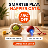 PounceBall — Smart Interactive Cat Toy