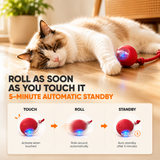 PounceBall — Smart Interactive Cat Toy