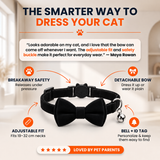MeowTie — Personalized Safety Collar
