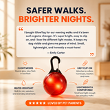 GlowTag — LED Safety Light Pendant for Dog Collars
