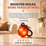 GlowTag — LED Safety Light Pendant for Dog Collars