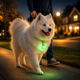 GlowTag — LED Safety Light Pendant for Dog Collars
