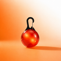GlowTag — LED Safety Light Pendant for Dog Collars