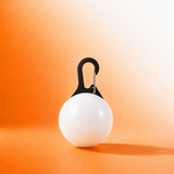 GlowTag — LED Safety Light Pendant for Dog Collars